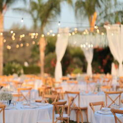 Beautiful Aesthetic Atmosphere And A Minimal White Floral Decoration