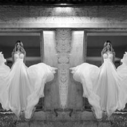 Mystery Collection By Gregory Morfi