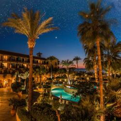 Bask In The Glow Of A Starlit Night At Elysium